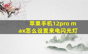 苹果手机12pro max怎么设置来电闪光灯